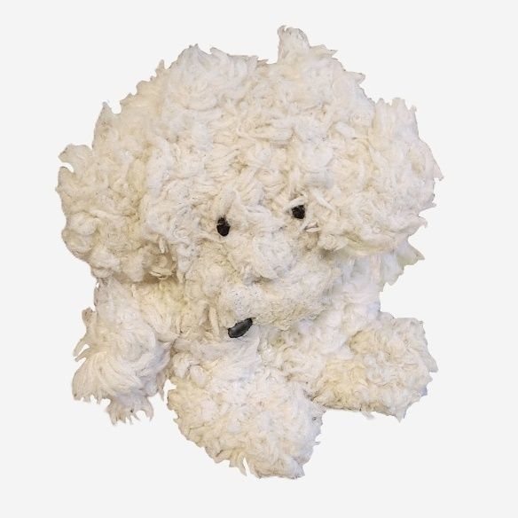 inu‐fluffy flat dog‐