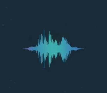 voiceDJ