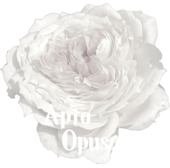 Apta Opus