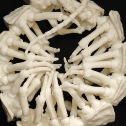 heelca　ossis【3D Data Store】
