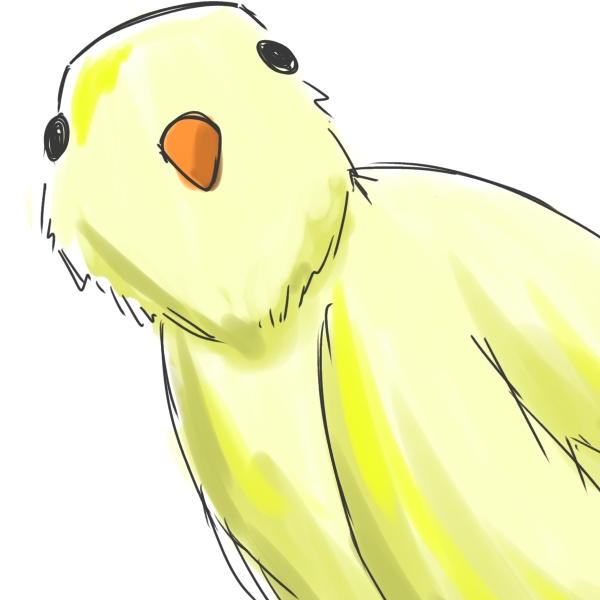 さわ鳥倉庫店