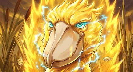 shoebill