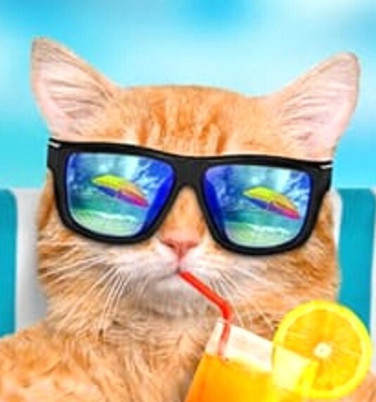 bossnekostudio