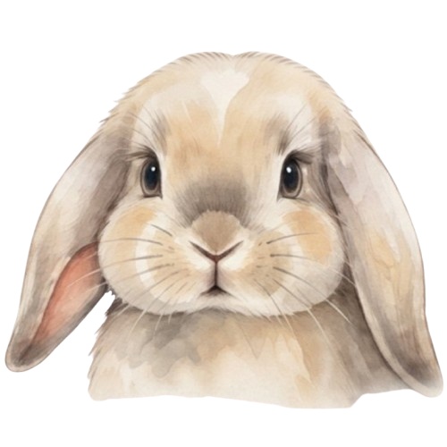 ポプリ