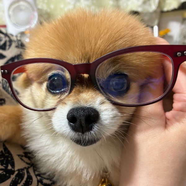 アカシックSHOP