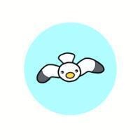 kamome