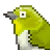 鳥のあんかけ(送料基本着払い