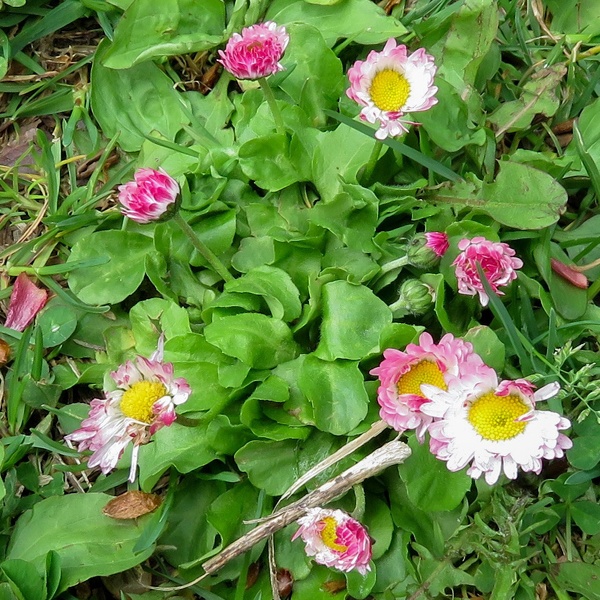 永遠写工房