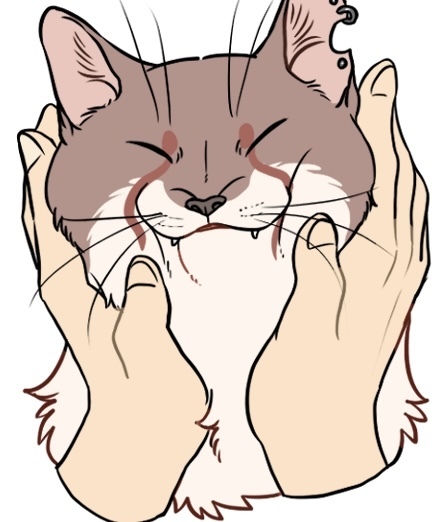 ねこまた 猫又 - pixiv