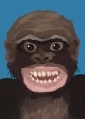 BashockIller