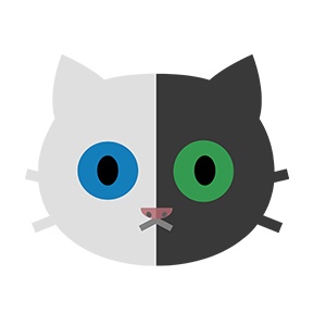 Hangar Katt