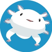 山椿
