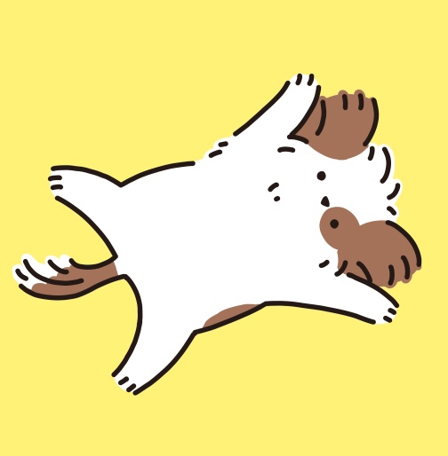 にのrの素材
