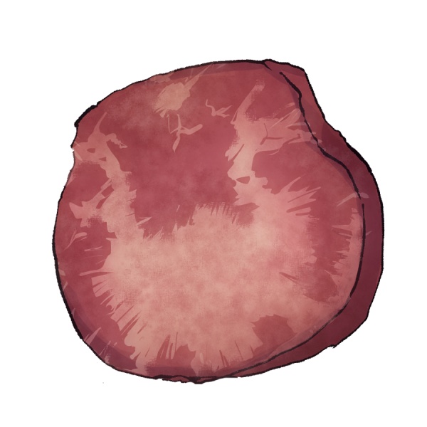 牛タン塩鮭