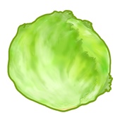 retaslettus