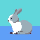 うささぁ屋さん