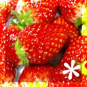 つきみやの素材