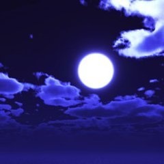 夜空館