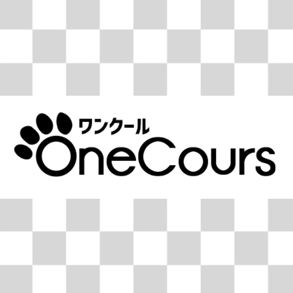 OneCours