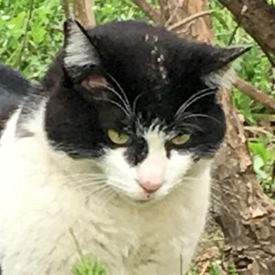 若山水産加工㈱
