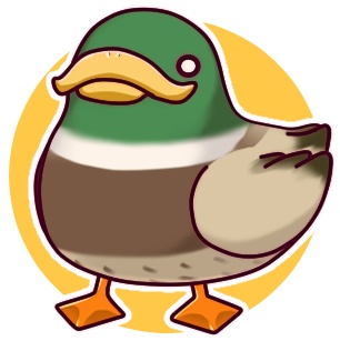 ducqrews web shop