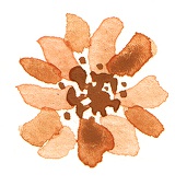 Garden Quartz