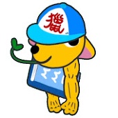 KBsensei