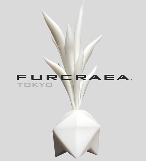 furcraeaTokyo