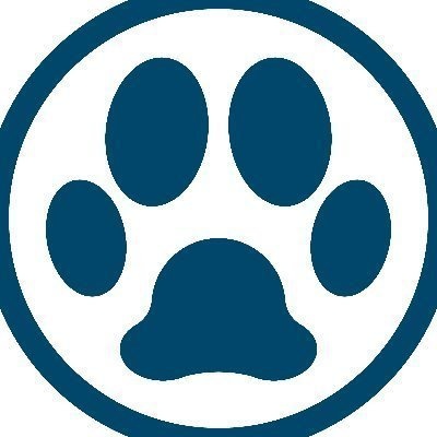 犬々