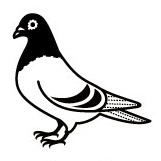 鳩尾