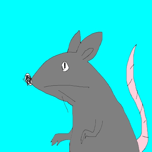 パラディン屋