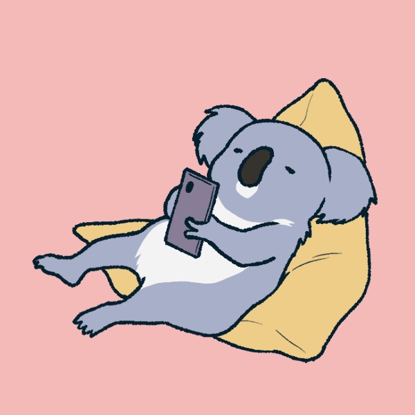 コアラの小箱