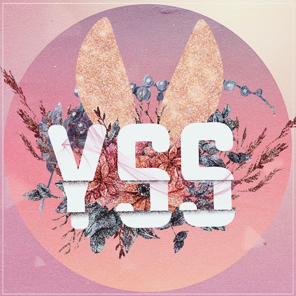 YSS_VRC