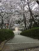 雑多箱の卓
