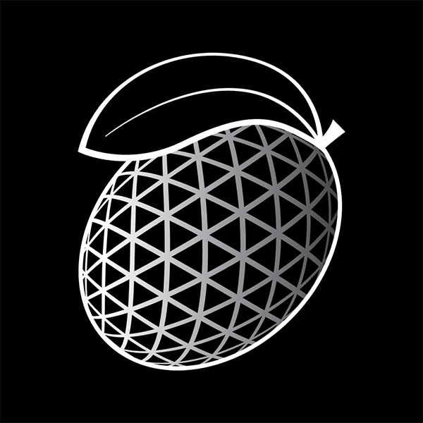 Mango Meshworks