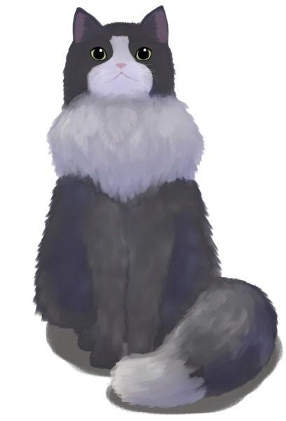 nyau-sozaisouko