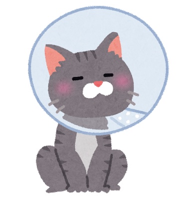 宇宙ねこ月面観測室