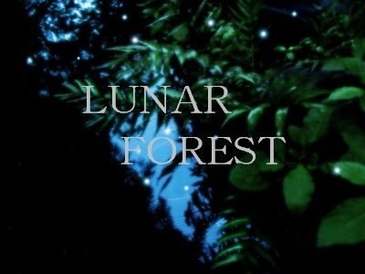 LUNAR FOREST