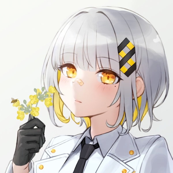 nanaHASHI_3D