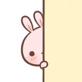 USAGI STORE