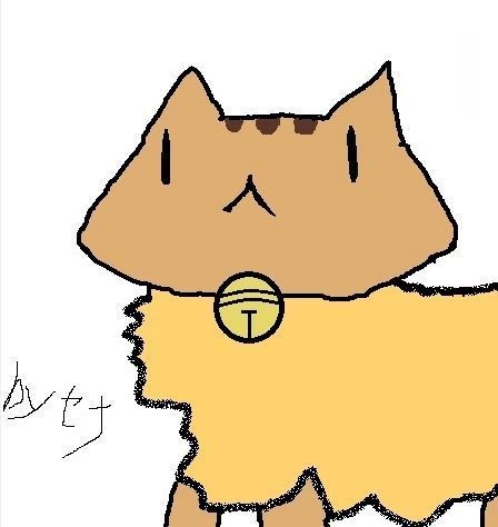 ねこの箱