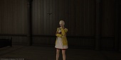 hakuginneko