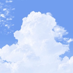 佐栁