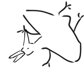 tanakaburasi