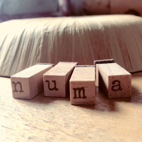 numa-ru