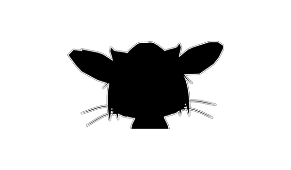 Cat Shop