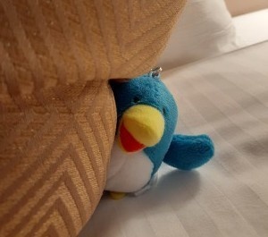 追って追われて桃源郷