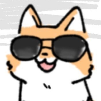 柴犬わんこの動画素材