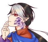 MEGANE_66　夜菊