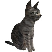 MOTOMODEL